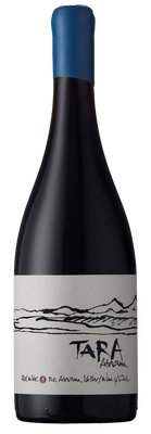 Вино Ventisquero Valle de Atacama DO 2016 Pinot Noir “Tara”, 0.75л, Чилі 4103010 фото