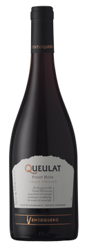 Вино Ventisquero Valle de Leyda DO 2019 Pinot Noir &ldquo;Quelat&rdquo; Gran Reserva, 0.75л, Чили 4102020 фото