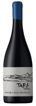 Вино Ventisquero Valle de Atacama DO 2016 Pinot Noir &ldquo;Tara&rdquo;, 0.75л, Чили 4103010 фото