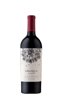 Вино Ventisquero Valle de Apalta Carmenere "Obliqua" 2020, 0.75л, красное, сухое, Чили 4103080 фото
