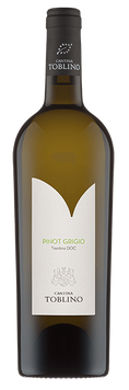 Вино Cantina Toblino Trentino DOC Pinot Grigio Bio, 0.75л, Італія 1605031 фото
